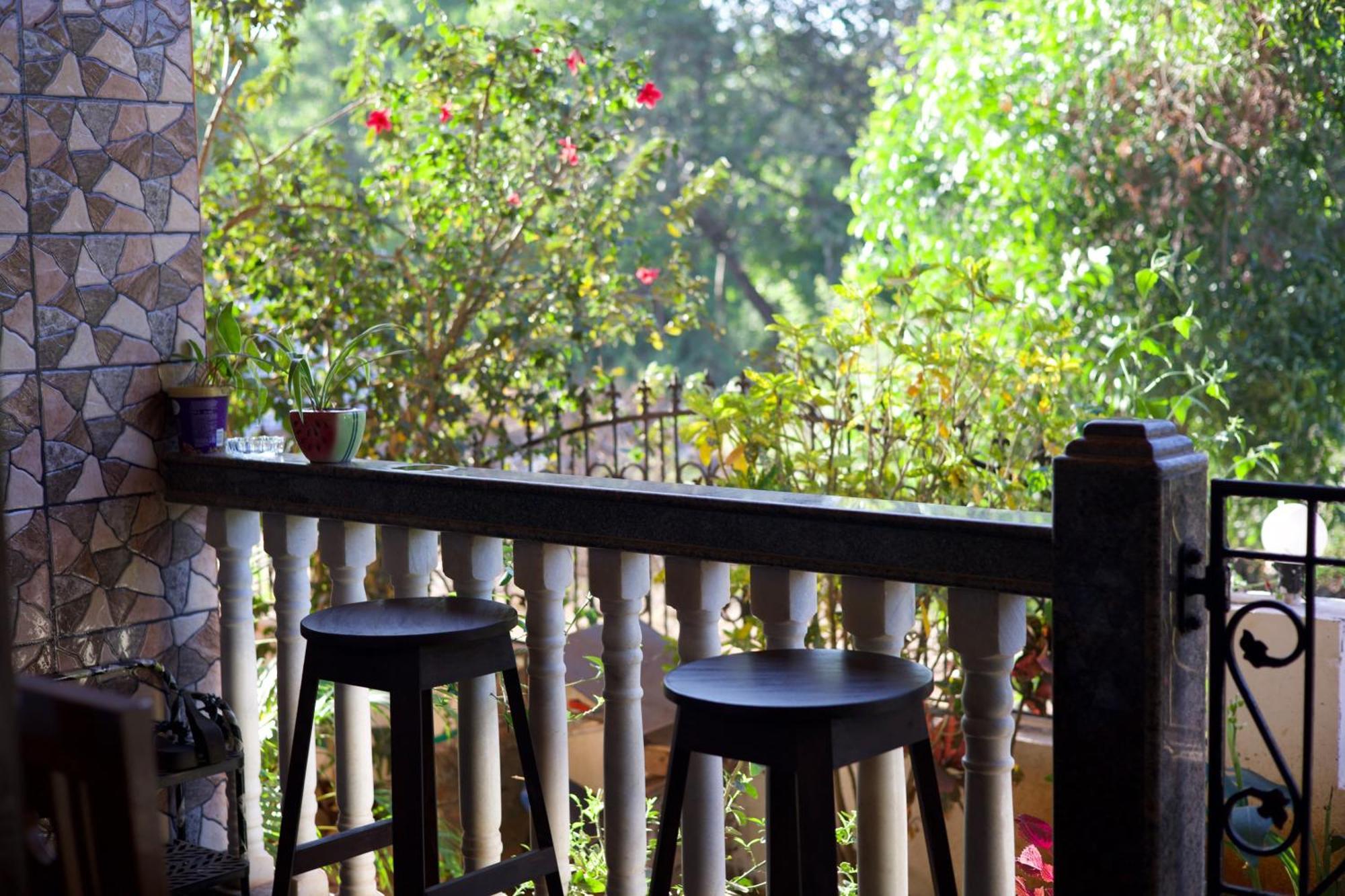 Last Minute Trip Hostel Morjim Exterior photo