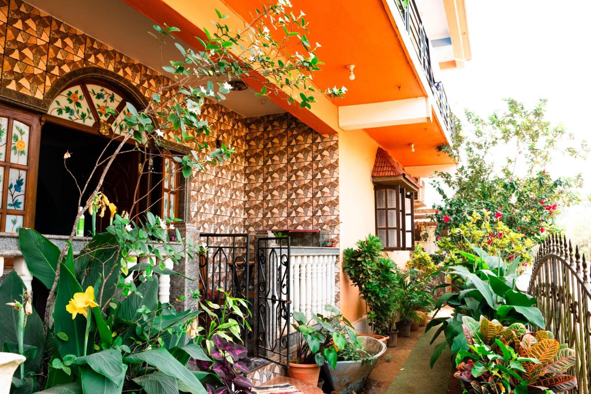 Last Minute Trip Hostel Morjim Exterior photo